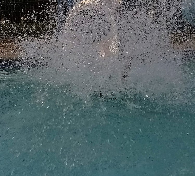 splash-zone-photo
